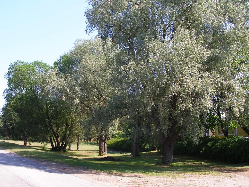 Treimani Rannamaja Exterior foto