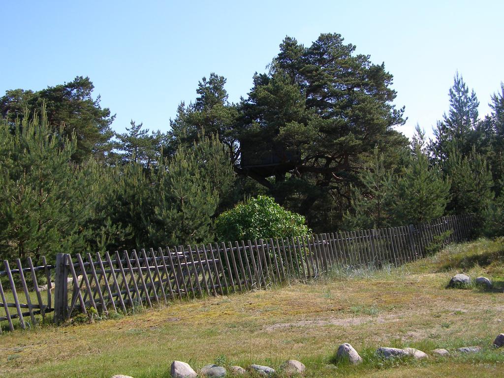 Treimani Rannamaja Exterior foto